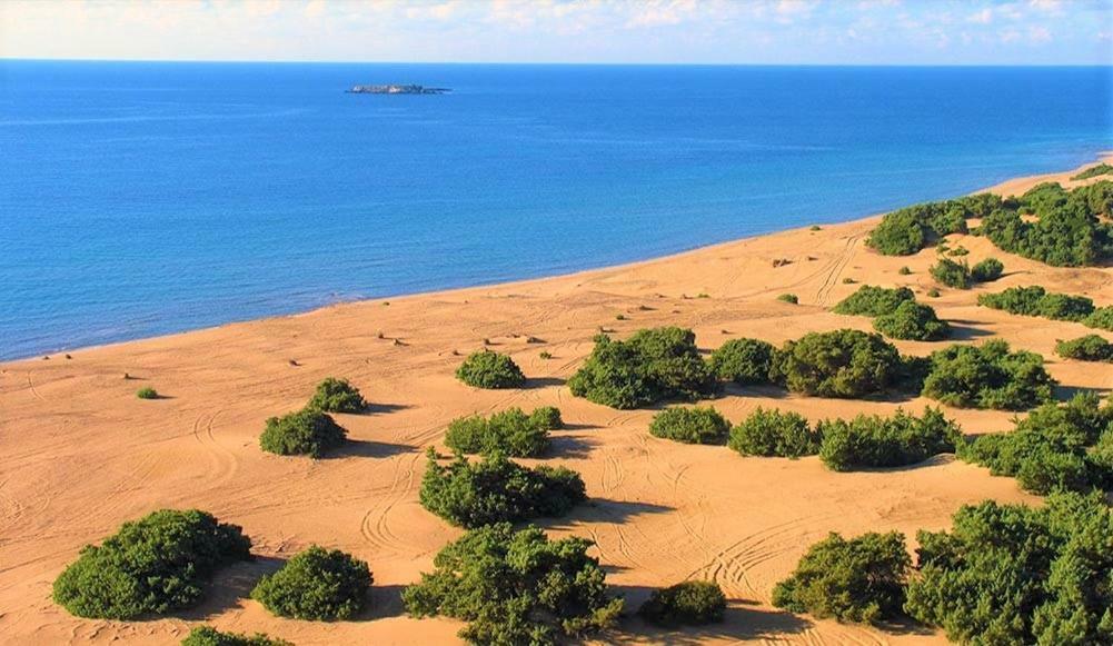 Issos Beach Villa Línia Dış mekan fotoğraf