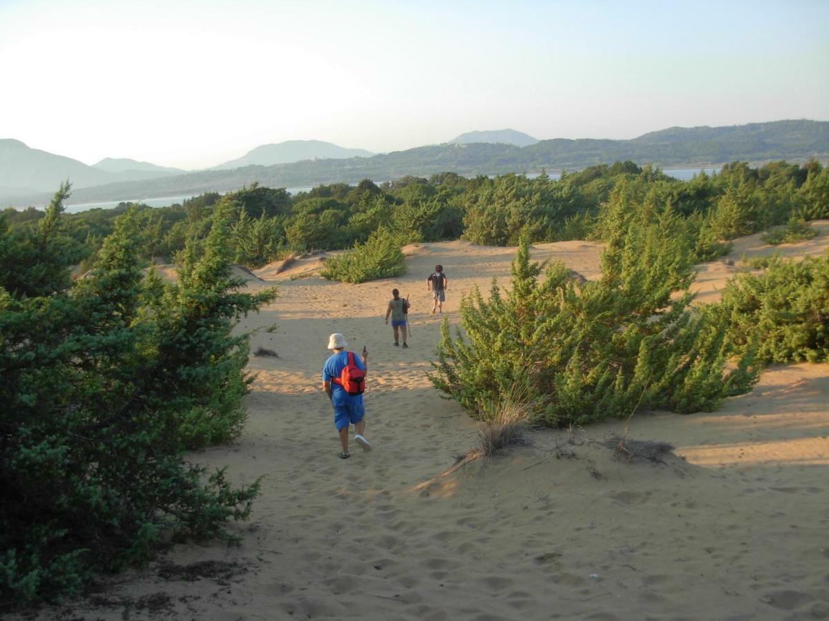 Issos Beach Villa Línia Dış mekan fotoğraf